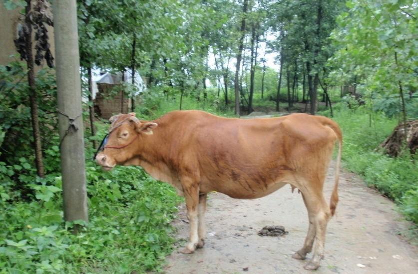 怒江最新求一个套医保卡的黄牛是真的吗方法分析(最方便真实的怒江求一个套医保卡的黄牛是真的吗还是假的方法)